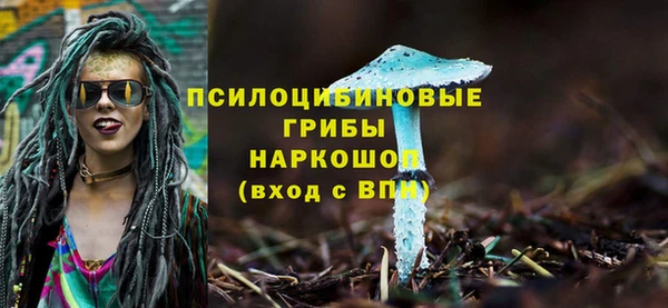 ешки Верея